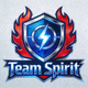 Team Spirit战队队标
